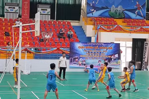 210 vận động viên là học sinh của các trường Tiểu học, THCS trên địa bàn huyện Đan Phượng tham gia giải bóng rổ năm 2022