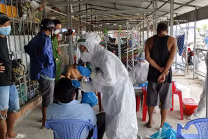 Sử dụng kit test thời điểm dịch COVID 19 bùng phát tại Cà Mau.
