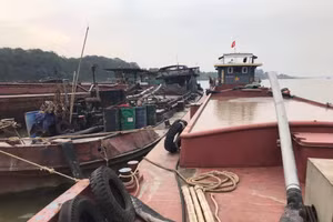 Lực lượng chức năng tạm giữ số tàu liên quan vi phạm.