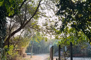 Cảnh ngoại thành “nhà quê” những ngày Tết. Ảnh: Nguyễn Hoàng.