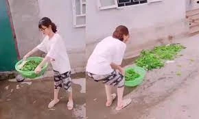 Clip: Màn vẩy rau "kinh điển" của gái vụng 