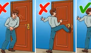 Học cách sống sót khi bị cá mập, gấu... tấn công