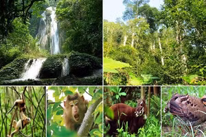 Việt Nam được đáng giá là một trong những quốc gia có đa dạng sinh học hàng đầu thế giới