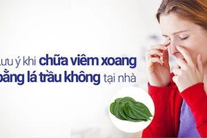 Chữa viêm xoang bằng lá trầu không là giải pháp được nhiều người áp dụng.