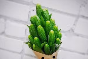 Một bó dưa chuột gai có khiến bạn gái trầm trồ?
