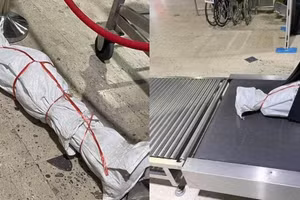 Thanh niên "ba chân bốn cẳng" bỏ chạy ở sân bay, biết sự thật ai cũng phì cười