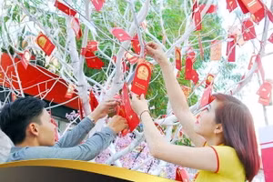 Sớm biết điều này, may mắn sẽ luôn đi cùng bạn