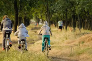 7 cách tạo sự hòa hợp, đầm ấm trong gia đình