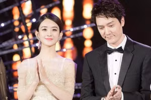 Triệu Lệ Dĩnh và Phùng Thiệu Phong đã ly hôn.