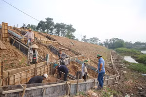 Triển khai các dự án bảo vệ đê điều, phòng chống thiên tai trên địa bàn TP. Hà Nội. Ảnh: MH