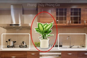 Những vị trí nên đặt cây xanh để hóa giải thế xấu phòng bếp