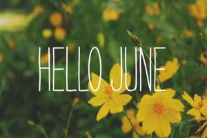 Hé lộ tính cách những người sinh tháng 6 