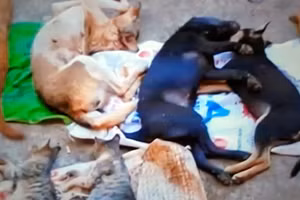 Ảnh chỉ có tính minh họa. Nguồn ảnh: Tú Nguyên