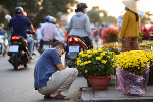 Tiểu thương bán hoa Tết phập phồng vì Covid-19
