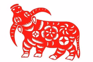 Năm Tân Sửu, người tuổi Sửu nên hợp tác làm ăn với các tuổi nào phất nhất?