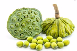 Cách bảo quản hạt sen tươi, để cả năm không lo hỏng mốc