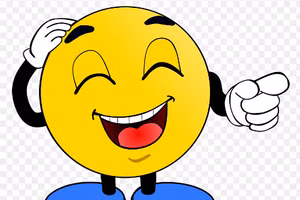 Bốc hỏa vì yêu phải chàng hoa mỹ