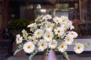 Mê cành cong, phiêu rủ. Cành cong là món quà của người cắm
