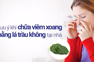 Chữa viêm xoang bằng lá trầu không là giải pháp được nhiều người áp dụng.