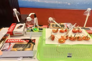 Mô hình thí nghiệm STEM của học sinh TP.HCM