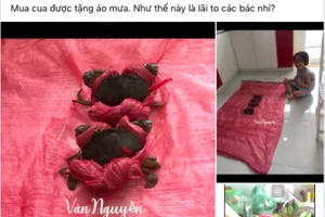 Clip: “Quà khuyến mãi” mua cua khiến khổ chủ "khóc cạn nước mắt”