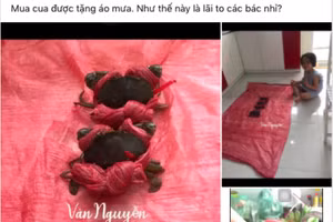 Clip: “Quà khuyến mãi” mua cua khiến khổ chủ "khóc cạn nước mắt”