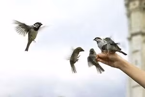 Rằm tháng Giêng: Phải biết 6 điều này để cả năm thịnh vượng, an vui