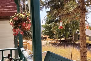 Ảnh minh họa: Internet.