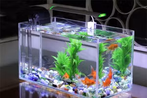 Phòng tân hôn có 8 đồ vật này bảo sao vợ chồng lục đục, suốt ngày cãi vã