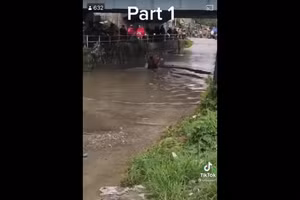 Clip: Cái kết dở khóc dở cười cho người thích "chọn lối đi riêng" 