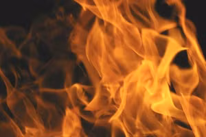 Truyện cười: Ngày cuối tuần yên tĩnh