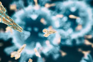 Hình ảnh mô phỏng kháng thể đang bao vây và tấn công một tác nhân gây bệnh. Ảnh: the-scientist.com.