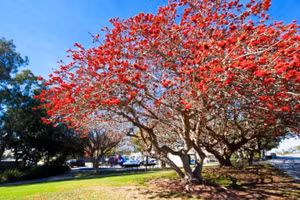 Những điều nên làm trong tháng 3 để cả tháng "thuận buồm xuôi gió"