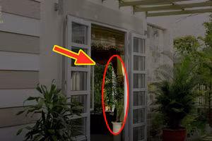 Mở cửa chính vào nhà nhìn thấy những thứ này, sớm muộn tiền bạc sẽ tiêu hao