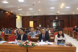 Các đại biểu tham dự Hội nghị.