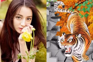 Từ Tết Hàn thực trở đi 3 con giáp này tình, tiền đều viên mãn