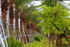 Hà Nội rà soát xe xả khói đen để cải thiện chất lượng không khí