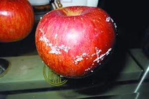 5 loại táo trong siêu thị, rẻ mấy cũng không mua