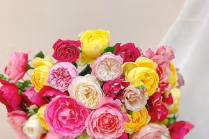 Chỉ cần cho 1 thìa này vào nước, cắm hoa hồng tươi cả tuần