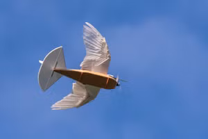 Pigeonbot có đôi cánh gắn lông chim thật.