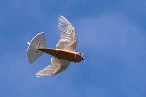 Pigeonbot có đôi cánh gắn lông chim thật.