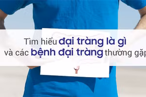 Tìm hiểu đại tràng là gì và nằm ở đâu trong cơ thể.