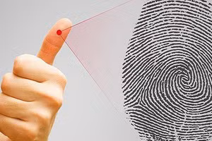 Chỉ cần nhìn vào hoa tay là biết số sướng khổ