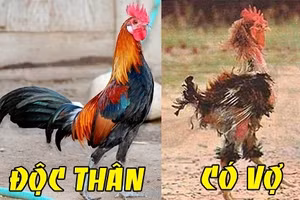 Điều gì nên làm nhất trước khi lấy vợ?