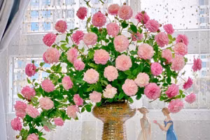 Cách cắm hoa hình đuôi công không dùng xốp ""chuẩn 10 điểm" 