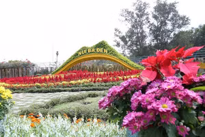 Ngắm núi Bà Tây Ninh đẹp vi diệu những ngày đầu Xuân