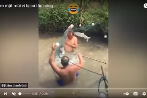 Clip: Người đàn ông đi bắt cá bất ngờ bị đàn cá "phản công"