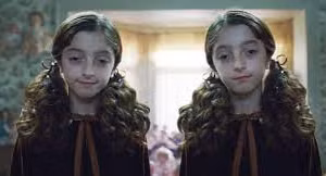 Loạt chuyện kể chứng tỏ thần giao cách cảm giữa các cặp song sinh