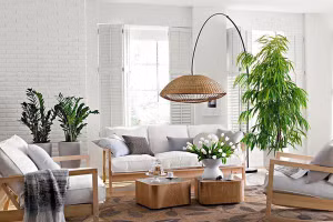 Chuyên gia bật mí 5 mẹo phong thủy tăng cường sức khỏe