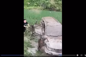 Clip: Dở khóc dở cười vì lái xe... xuống ruộng